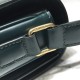 CELINE Classique Triomphe Bag In Shiny Calfskin - Amazone