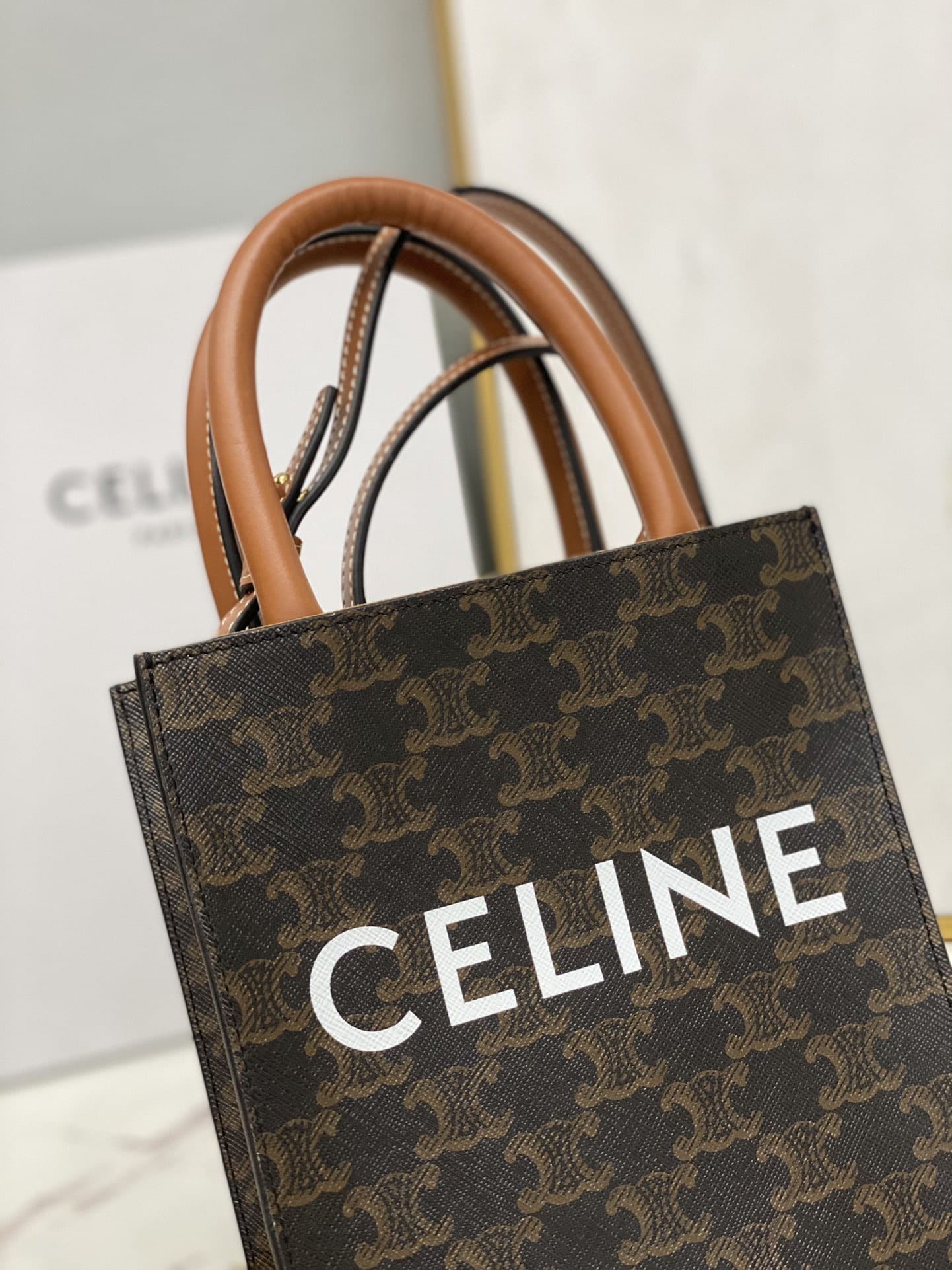 CELINE Mini Vertical Cabas In Triomphe Canvas And Calfskin With Celine Print - Black