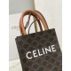 CELINE Mini Vertical Cabas In Triomphe Canvas And Calfskin With Celine Print - Black