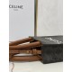 CELINE Mini Vertical Cabas In Triomphe Canvas And Calfskin With Celine Print - Black