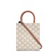 CELINE Mini Vertical Cabas In Triomphe Canvas And Calfskin With Celine Print - White