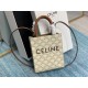 CELINE Mini Vertical Cabas In Triomphe Canvas And Calfskin With Celine Print - White