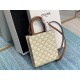 CELINE Mini Vertical Cabas In Triomphe Canvas And Calfskin With Celine Print - White