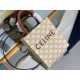 CELINE Mini Vertical Cabas In Triomphe Canvas And Calfskin With Celine Print - White