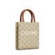 CELINE Mini Vertical Cabas In Triomphe Canvas And Calfskin With Celine Print -Beige