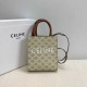 CELINE Mini Vertical Cabas In Triomphe Canvas And Calfskin With Celine Print -Beige