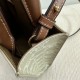 CELINE Mini Vertical Cabas In Triomphe Canvas And Calfskin With Celine Print -Beige