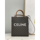 CELINE Small Vertical Cabas In Triomphe Canvas And Calfskin With Celine Print - White