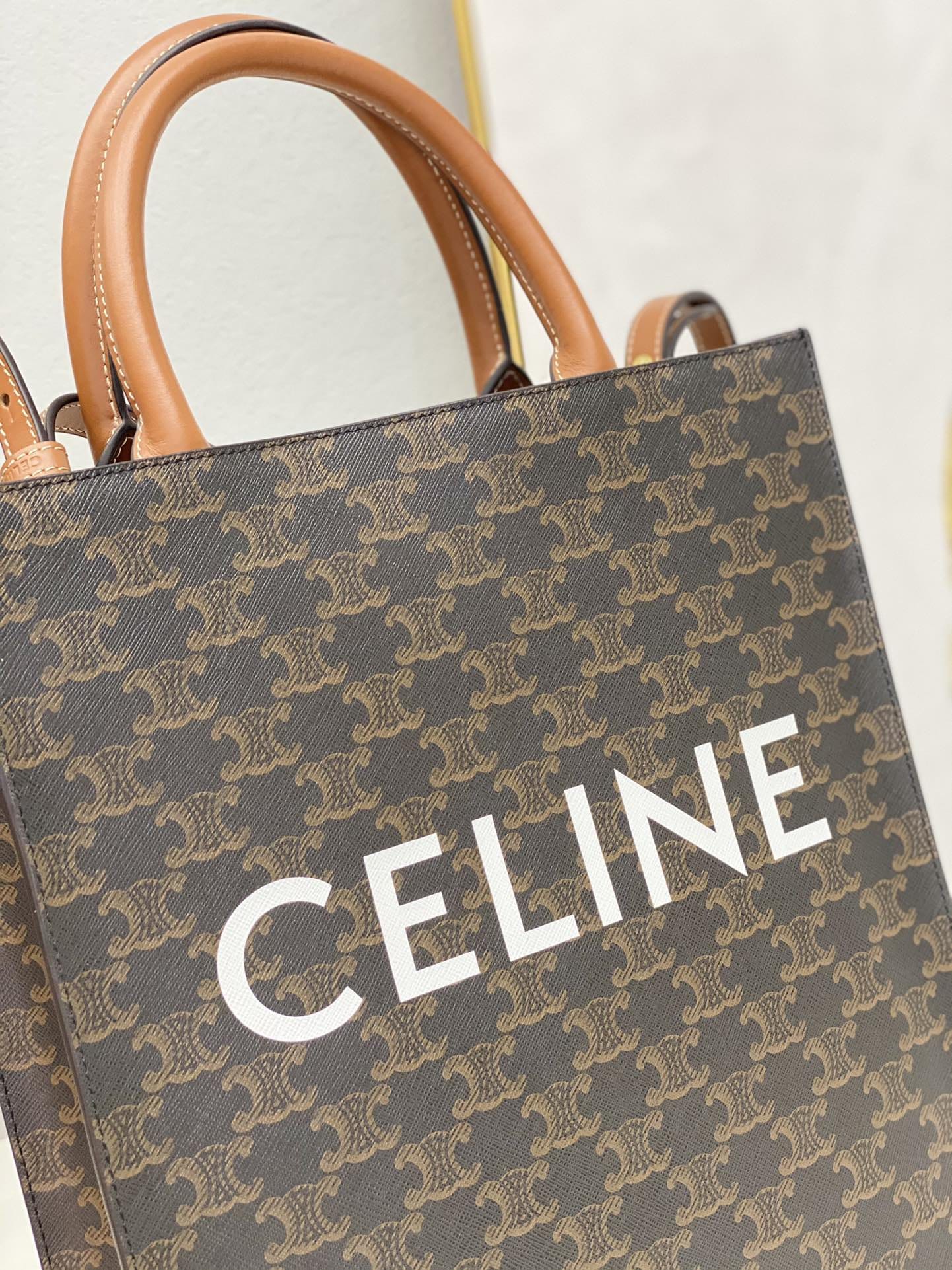 CELINE Small Vertical Cabas In Triomphe Canvas And Calfskin With Celine Print - White