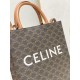 CELINE Small Vertical Cabas In Triomphe Canvas And Calfskin With Celine Print - White