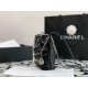 CHANEL 22 Mini Hobo Bag in Grained Calfskin - Black & Silver