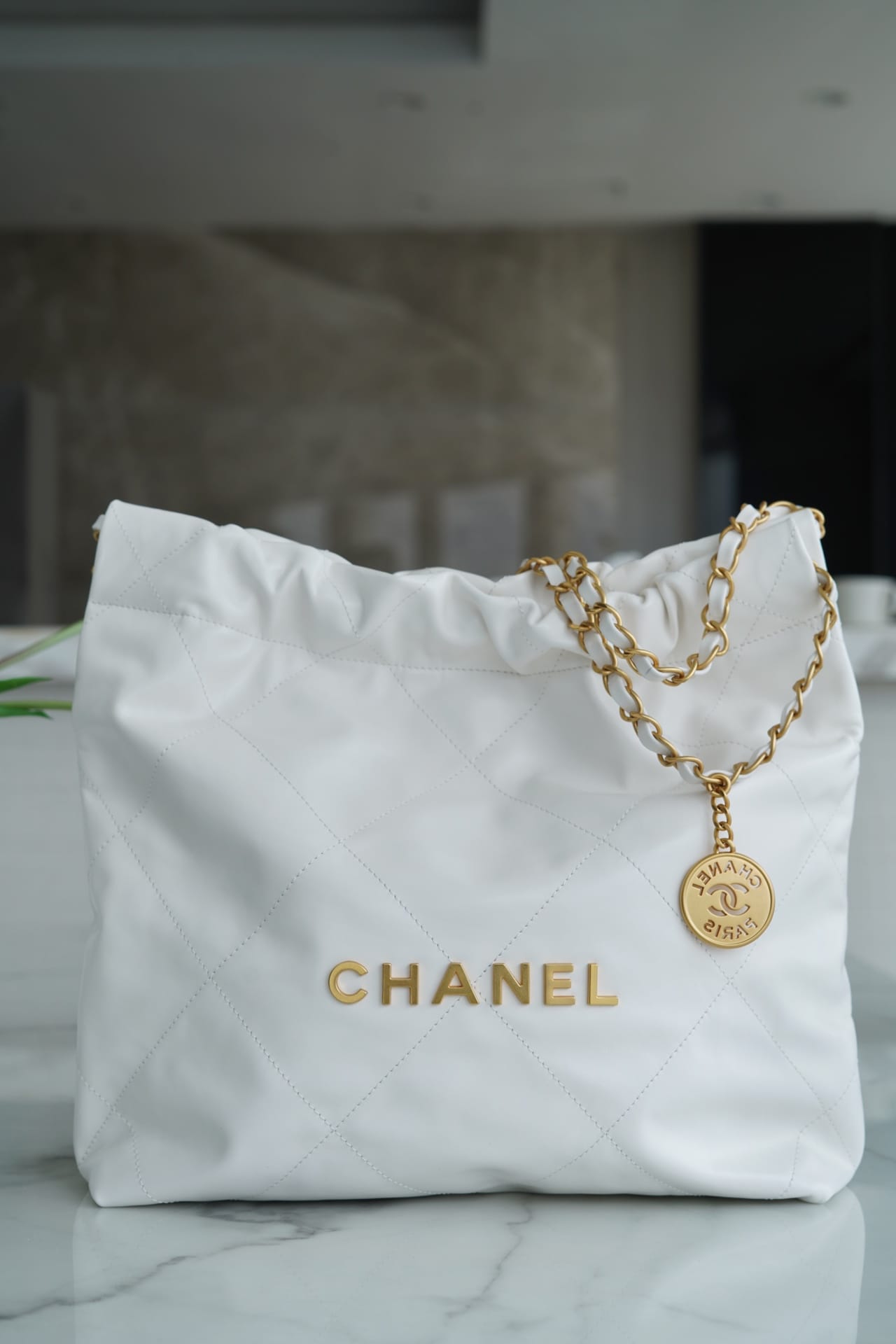 CHANEL 22 Small Hobo Bag in Shiny Calfskin - White & Gold LOGO