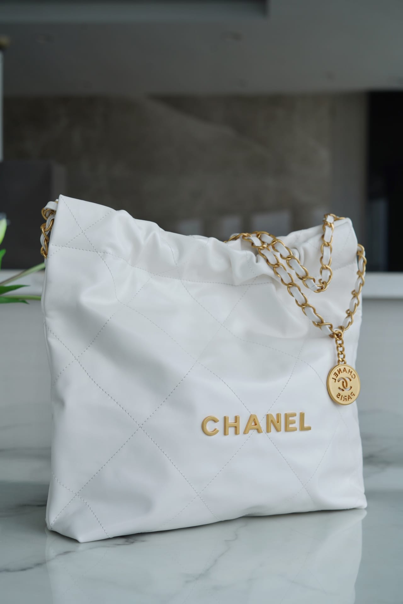 CHANEL 22 Small Hobo Bag in Shiny Calfskin - White & Gold LOGO