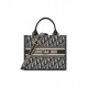 Dior Small Book Tote Blue Dior Oblique Embroidery and Calfskin