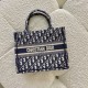 Dior Small Book Tote Ecru and Blue Dior Oblique Embroidery