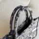 Dior Small Book Tote Blue and White Toile de Jouy Reverse Embroidery 