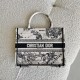 Dior Small Book Tote Latte and Black Toile de Jouy Zodiac Embroidery