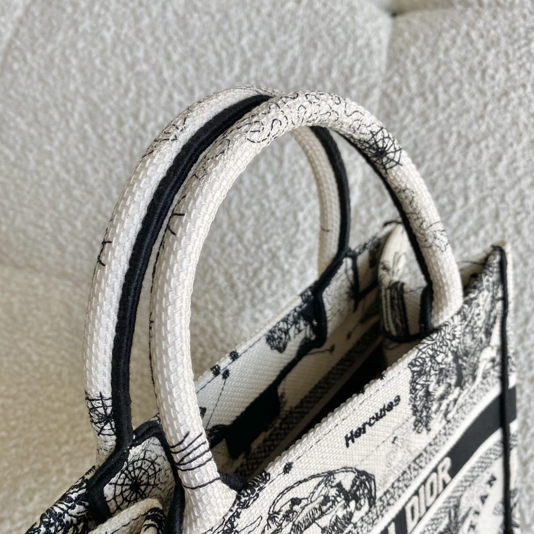 Dior Small Book Tote Latte and Black Toile de Jouy Zodiac Embroidery