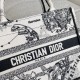 Dior Small Book Tote Latte and Black Toile de Jouy Zodiac Embroidery