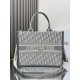 Dior Medium Book Tote Gray Dior Oblique Embroidery and Calfskin