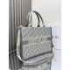 Dior Medium Book Tote Gray Dior Oblique Embroidery and Calfskin