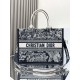 Dior Medium Book Tote Blue and Ecru Toile de Jouy Reverse Embroidery with Blue Calfskin