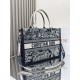 Dior Medium Book Tote Blue and Ecru Toile de Jouy Reverse Embroidery with Blue Calfskin