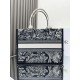 Dior Medium Book Tote Blue and Ecru Toile de Jouy Reverse Embroidery with Blue Calfskin