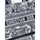 Dior Medium Book Tote White and Navy Blue Toile de Jouy Sauvage Embroidery with Navy Blue Calfskin