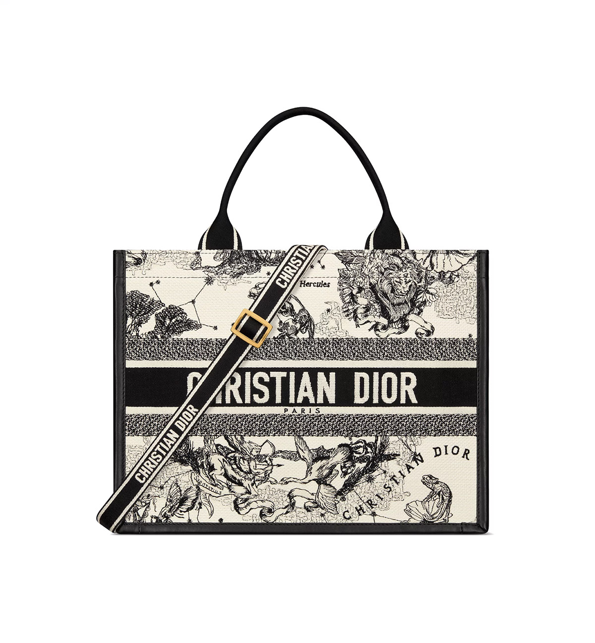 Dior Medium Book Tote Latte and Black Dior Zodiac Embroidery with Black Calfskin