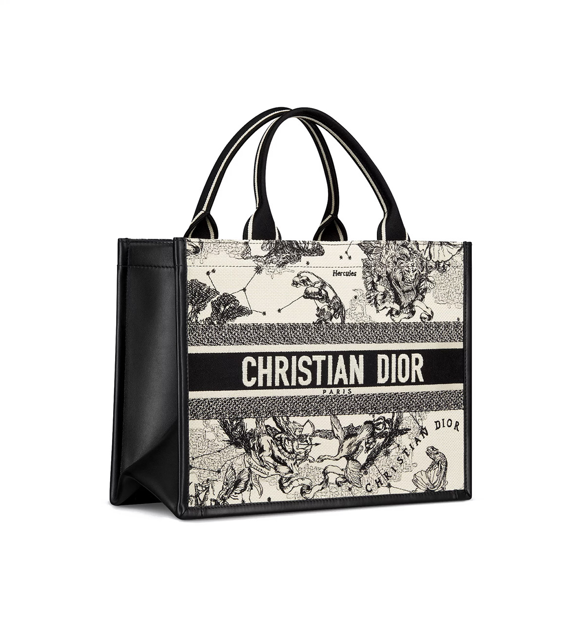 Dior Medium Book Tote Latte and Black Dior Zodiac Embroidery with Black Calfskin