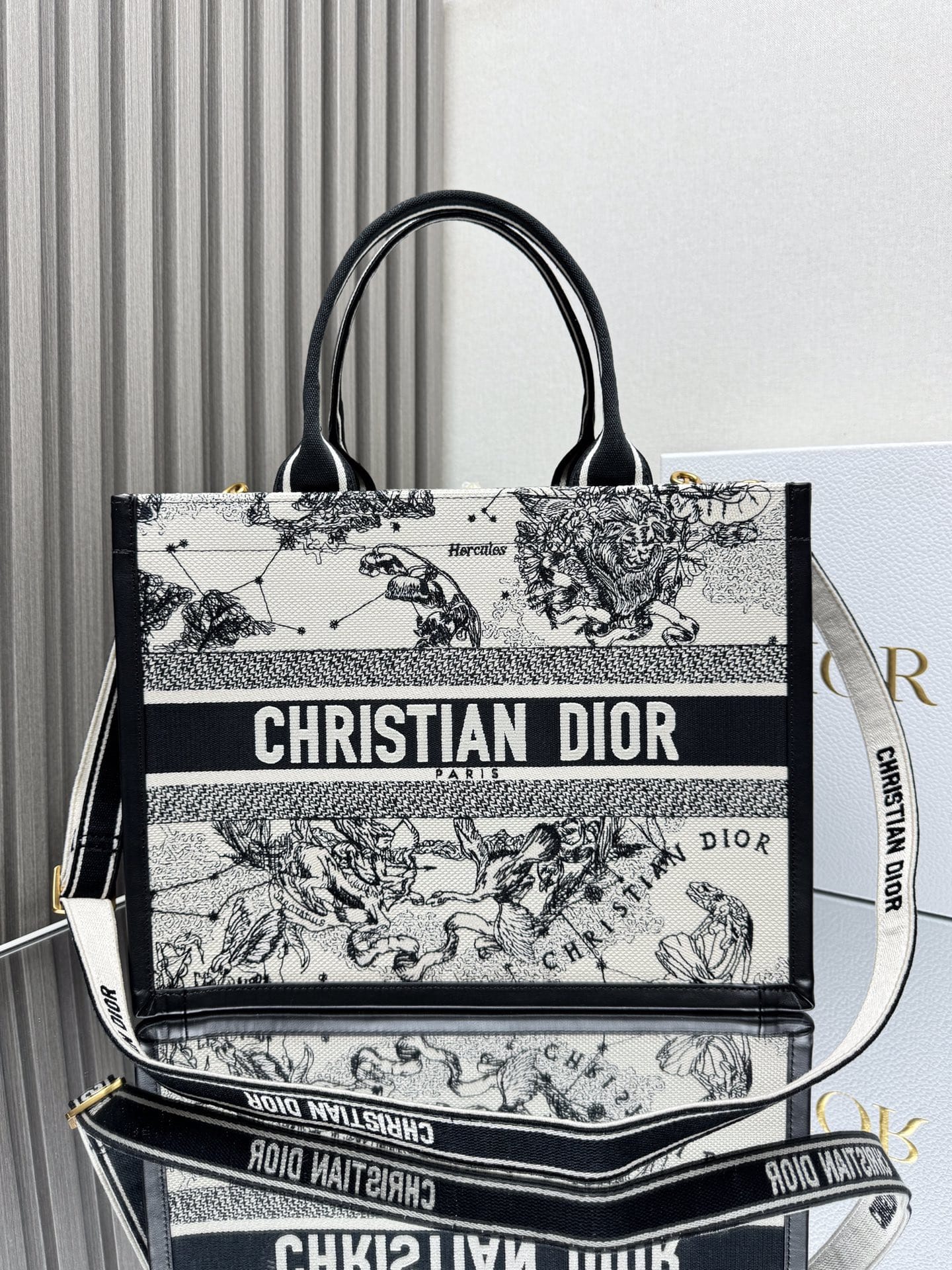 Dior Medium Book Tote Latte and Black Dior Zodiac Embroidery with Black Calfskin