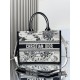 Dior Medium Book Tote Latte and Black Dior Zodiac Embroidery with Black Calfskin