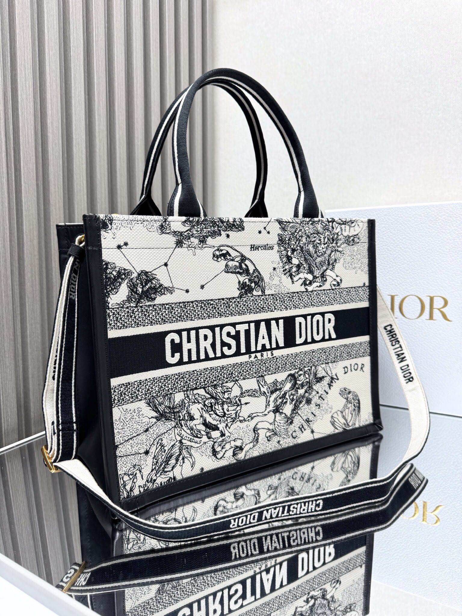 Dior Medium Book Tote Latte and Black Dior Zodiac Embroidery with Black Calfskin