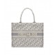 Dior Medium Book Tote Ecru and Gray Dior Oblique Embroidery