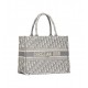 Dior Medium Book Tote Ecru and Gray Dior Oblique Embroidery