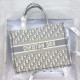 Dior Medium Book Tote Ecru and Gray Dior Oblique Embroidery