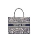 Dior Medium Book Tote Ecru and Blue Toile de Jouy Embroidery