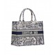 Dior Medium Book Tote Ecru and Blue Toile de Jouy Embroidery