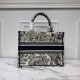 Dior Medium Book Tote Ecru and Blue Toile de Jouy Embroidery