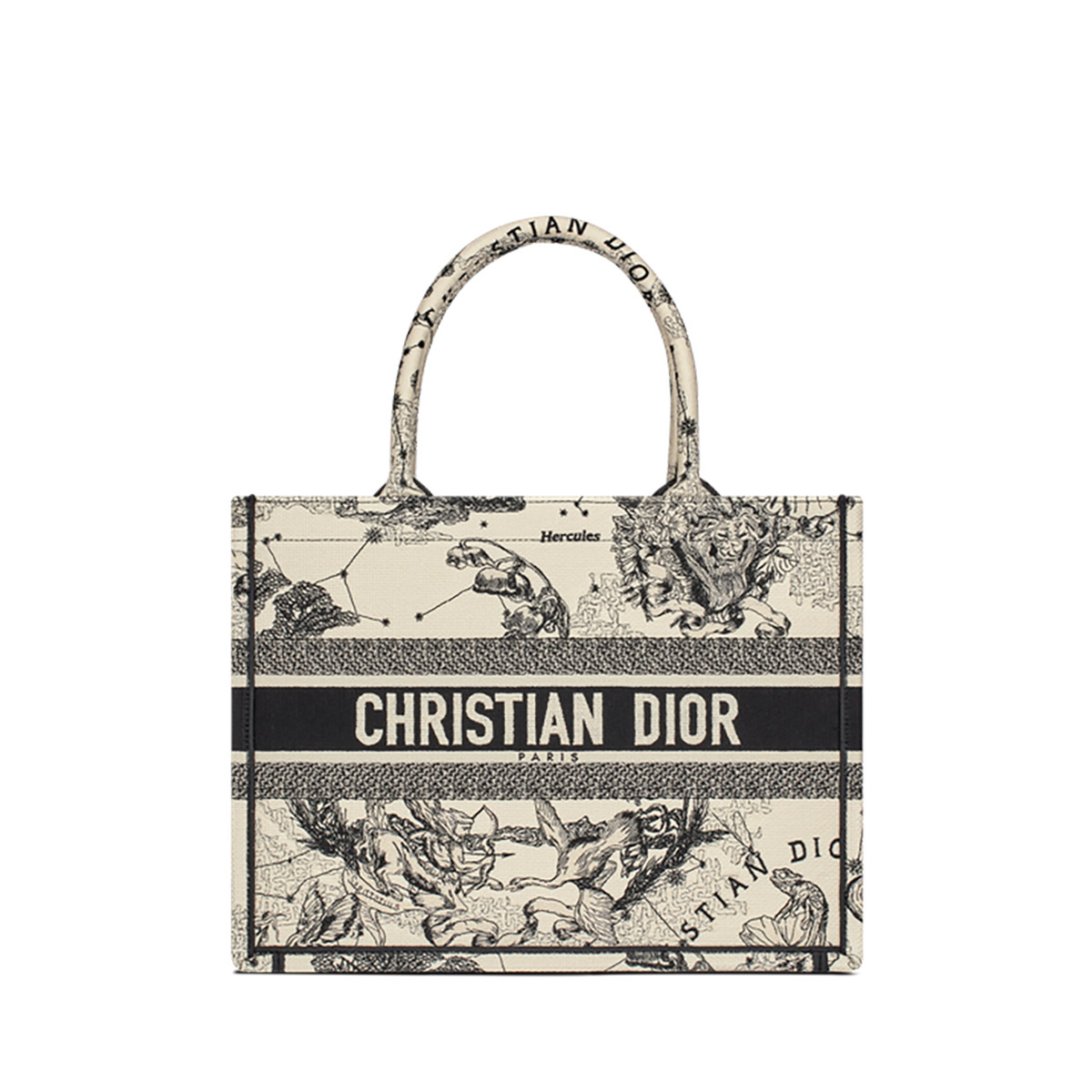 Dior Medium Book Tote Latte and Black Dior Zodiac Embroidery