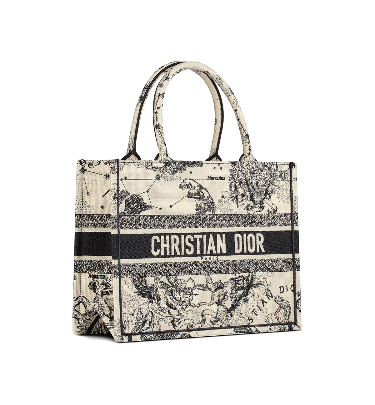 Dior Medium Book Tote Latte and Black Dior Zodiac Embroidery