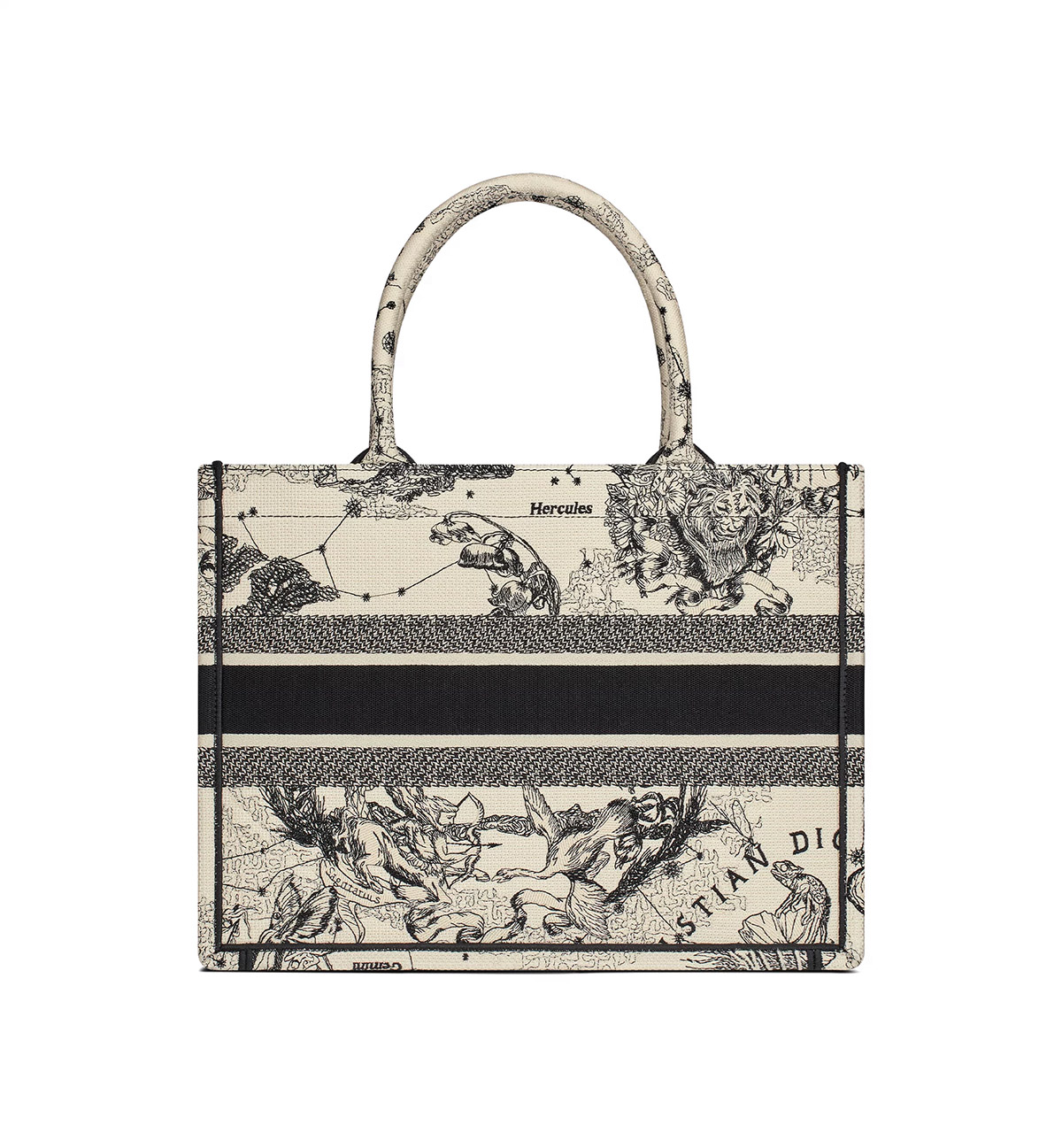 Dior Medium Book Tote Latte and Black Dior Zodiac Embroidery