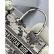 Dior Medium Book Tote Latte and Black Dior Zodiac Embroidery