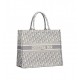 Dior Large Book Tote Ecru and Gray Dior Oblique Embroidery 