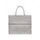 Dior Large Book Tote Ecru and Gray Dior Oblique Embroidery 