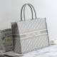 Dior Large Book Tote Ecru and Gray Dior Oblique Embroidery 