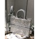 Dior Large Book Tote Ecru and Gray Toile de Jouy Embroidery