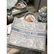 Dior Large Book Tote Ecru and Gray Toile de Jouy Embroidery