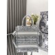 Dior Mini Book Tote Gray Toile de Jouy Embroidery